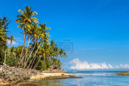 Photo for Beach in a sunny day in Sri Lanka - Royalty Free Image