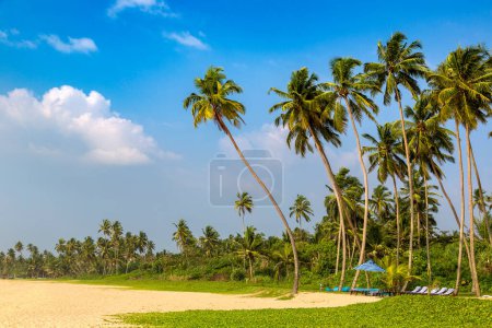 Shinagawa tropischer Strand an einem sonnigen Tag in Sri Lanka