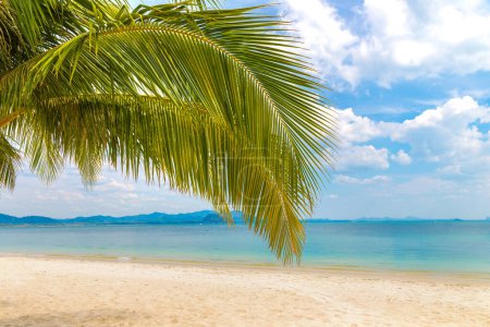 Téléchargez les photos : Branche de palmier suspendue sur la plage tropicale avec sable blanc - en image libre de droit