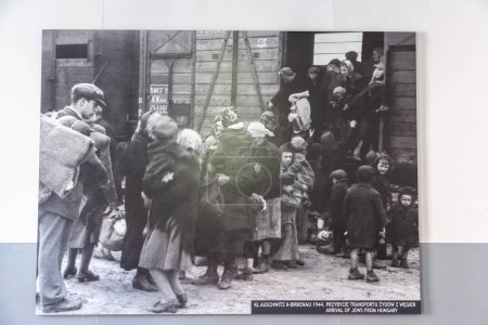Foto de OSWIECIM, POLONIA - 7 de septiembre de 2022: Exposición fotográfica en el campo de concentración de Auschwitz en un día soleado, Oswiecim, Polonia - Imagen libre de derechos