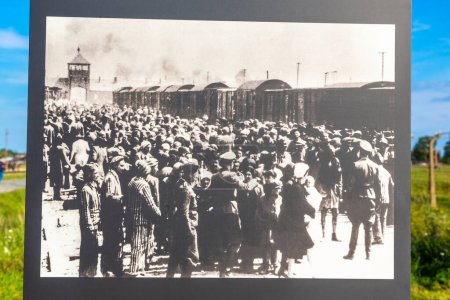 Foto de OSWIECIM, POLONIA - 7 de septiembre de 2022: Exposición fotográfica en el campo de concentración de Auschwitz II en un día soleado, Oswiecim, Polonia - Imagen libre de derechos