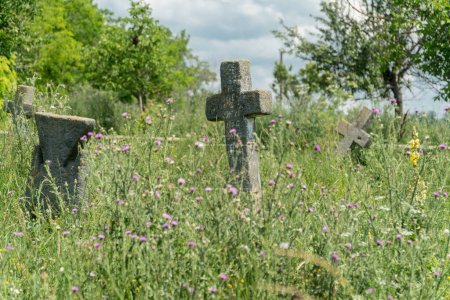 Foto de Antiguo cementerio abandonado con entierros de los cosacos en el estado de Busha Reserva Histórica y Cultural, ubicado en el pueblo de Busha en Podillya, región de Vinnytsa, Ucrania. Destinos de viajes en Ucrania en Podillya. - Imagen libre de derechos