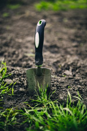 Téléchargez les photos : Outils de jardinage potager maison jardin ferme terrain - en image libre de droit