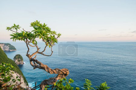 Photo for Beautiful ocean view landscape wallpaper summer - Royalty Free Image