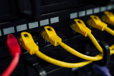Foto de Servidor y cables de conexión conmutan administrador de base de datos de red - Imagen libre de derechos