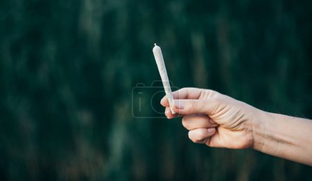 Téléchargez les photos : Joint de cannabis en main sur fond nature, cigarette de marijuana - en image libre de droit