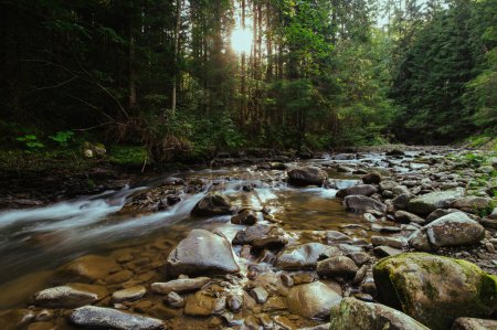 Téléchargez les photos : Paysage rivière ruisseau dans les montagnes belle nature - en image libre de droit