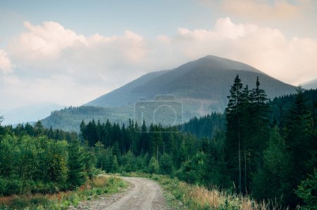 Foto de Una montaña cubierta de bosques, un paisaje de las montañas de los Cárpatos, una carretera y una cima de la montaña, árboles de coníferas - Imagen libre de derechos