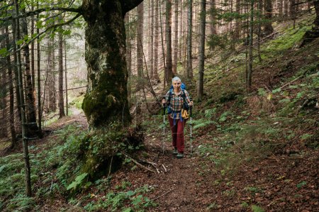 Photo for Trekking in the mountains through the forest, woman with backpack and trekking poles - Royalty Free Image