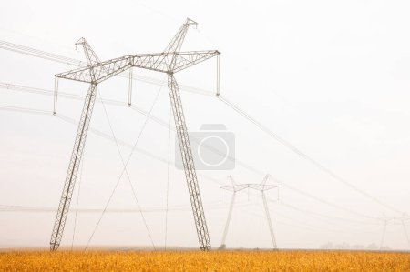 Photo for Line high-voltage power system of Ukraine, metal structures in the field - Royalty Free Image