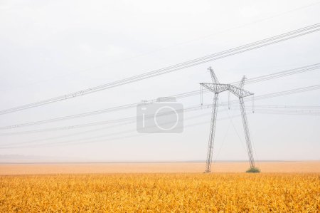 Photo for Power line of Ukraine, metal structures in the field - Royalty Free Image