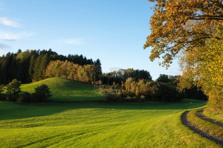 Téléchargez les photos : Paysage d'automne, prairies et collines, Bavière, Allemagne, Bayern - Deutschland - en image libre de droit