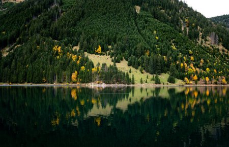 Foto de Reflejo de árboles otoñales en un lago de montaña de los Alpes - Imagen libre de derechos