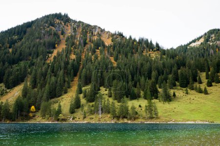 Foto de Árboles lago montañas en Europa - Imagen libre de derechos