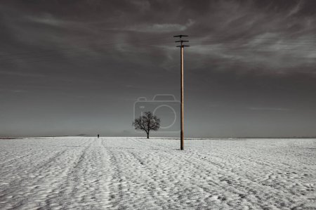 Foto de Fotos de arte en blanco y negro, paisaje en invierno - Imagen libre de derechos