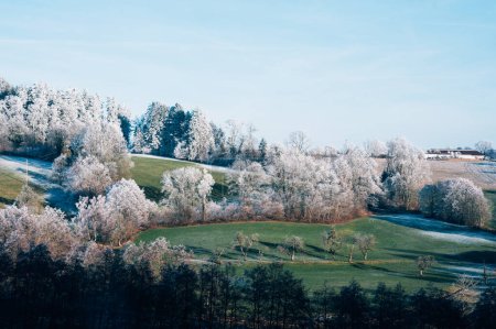 Photo for Fields and trees in southern Germany, trees in frost - Royalty Free Image