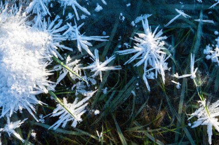 Foto de Hermosos cristales de hielo, fondo de cerca. Detalle de la naturaleza en la estación fría. Bajo cero celsius - Imagen libre de derechos