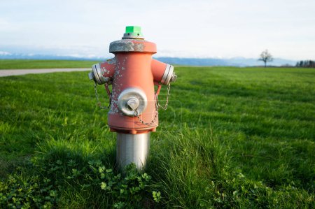 Photo for Fire hydrant in a green field, growth lawn meadow outside, water - Royalty Free Image
