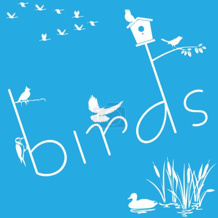 Illustration for Vector illustration for the theme of the bird. - Royalty Free Image