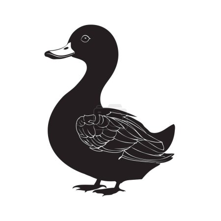 Ilustración de Ilustración vectorial de un pato común adulto. Vector sin IA - Imagen libre de derechos