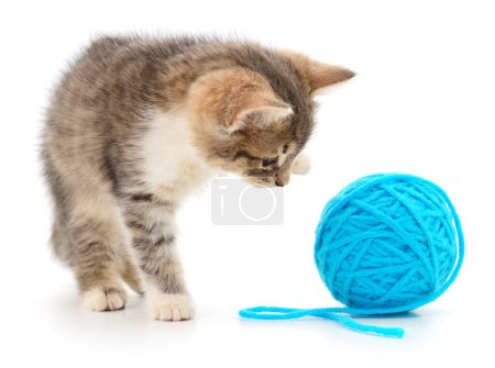 Kitten with ball of yarn isolated on white background.