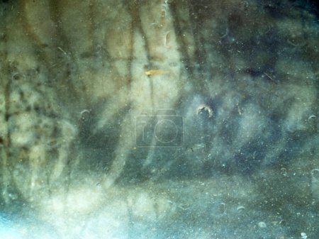 Téléchargez les photos : Empreintes anciennes d'organismes vivants dans la pierre - en image libre de droit