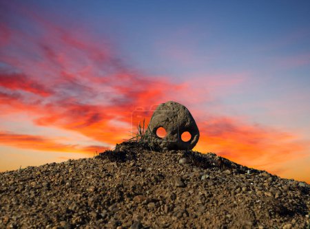 Téléchargez les photos : Petit crâne humain sur le sable du désert - en image libre de droit