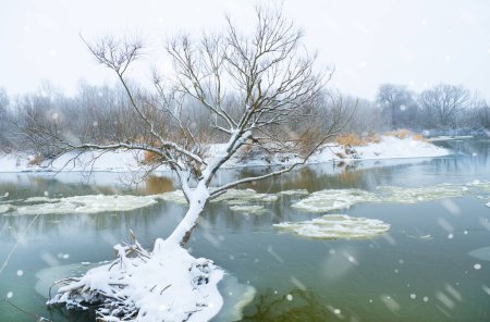 winter river and trees in winter season