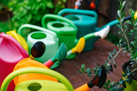 Téléchargez les photos : Arrosoirs colorés dans le jardin - en image libre de droit