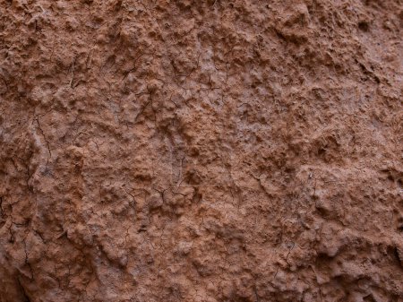 Photo for Texture of dry cracked clay close-up - Royalty Free Image