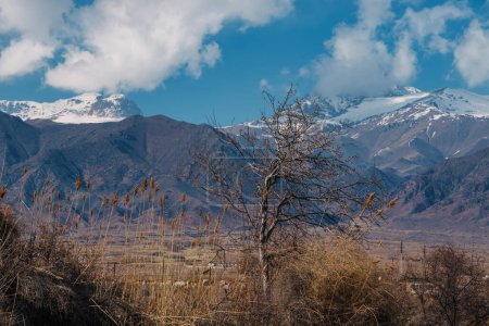 Foto de Paisaje otoñal con árbol sobre fondo montañoso, Kirguistán - Imagen libre de derechos