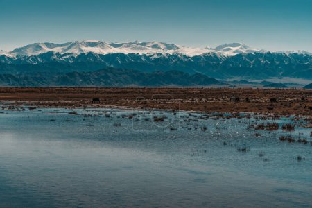 Foto de Paisaje de alta montaña con lago pequeño, Kirguistán - Imagen libre de derechos