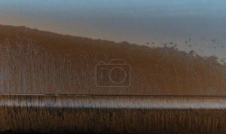 Photo for Dirty car surface after off-road driving - Royalty Free Image