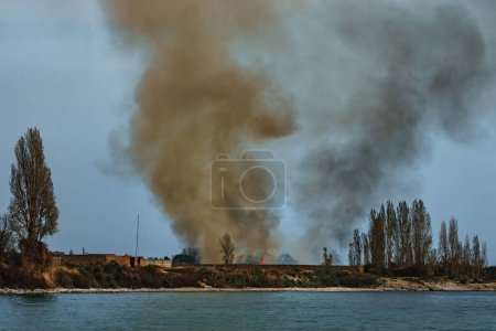 Téléchargez les photos : Feu et fumée au bord du lac au printemps - en image libre de droit