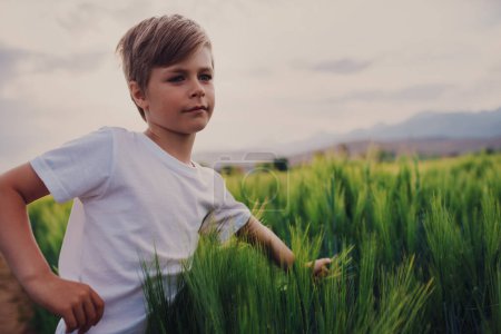 Photo for Portrait of cute boy with spike of a grain plant in a field - Royalty Free Image