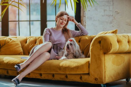 Foto de Joven mujer elegante sentada en un sofá con perro shih tzu en un interior lujoso - Imagen libre de derechos
