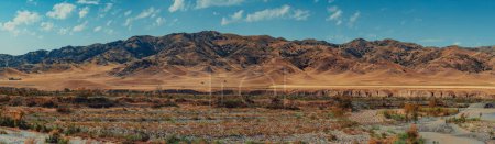 Photo for Dried-up river bed on mountains background at summer, Kazakhstan and Kyrgyzstan panoramic view - Royalty Free Image