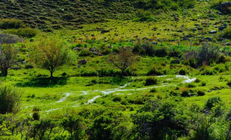 Téléchargez les photos : Vallée pittoresque avec ruisseaux de montagne en été - en image libre de droit