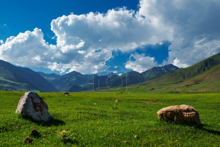 Foto de Hermoso valle verde con rocas en las tierras altas - Imagen libre de derechos