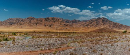 Téléchargez les photos : Lit de rivière asséché sur fond de montagnes en été, vue panoramique sur le Kazakhstan et le Kirghizistan - en image libre de droit