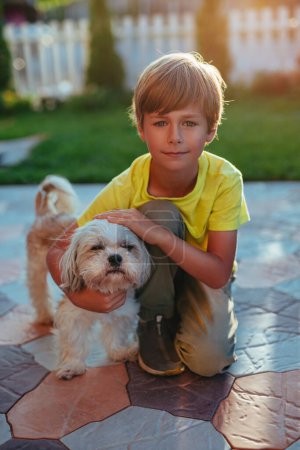 Photo for Boy hugs shih tzu dog on country estate at sunset light - Royalty Free Image