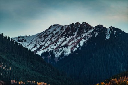 Photo for Twilight landscape with snowy mountain peaks and forest - Royalty Free Image