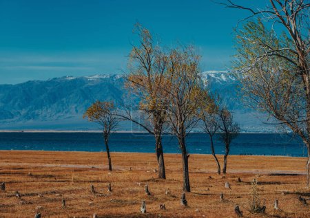 Foto de Paisaje otoñal con árboles y lago, Kirguistán, lago Issyk-Kul - Imagen libre de derechos