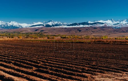 Photo for Autumn landscape with ploughed field on mountains background, Kyrgyzstan - Royalty Free Image
