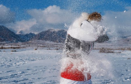 Foto de Mujer joven jugando bolas de nieve en las montañas en invierno - Imagen libre de derechos