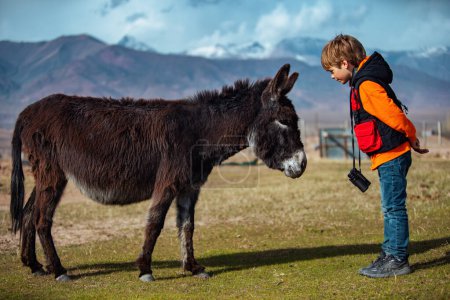 Foto de Chico turista con prismáticos de pie junto a burro en un campo - Imagen libre de derechos