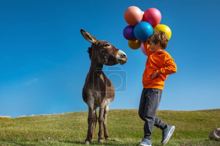 Foto de Boy with balloons standing next to donkey in a field - Imagen libre de derechos