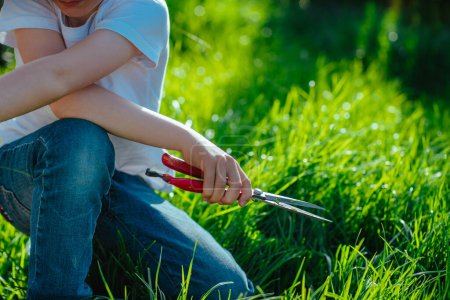 Foto de Boy with grass clippers cutting lawn on a sunny summer day - Imagen libre de derechos