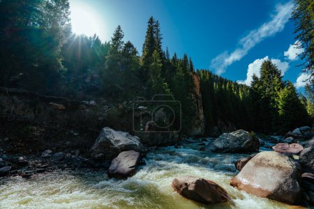 Téléchargez les photos : Belle montagne se précipitant rivière au printemps - en image libre de droit