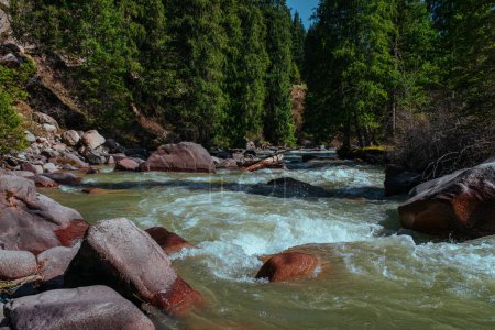 Téléchargez les photos : Belle montagne se précipitant rivière au printemps - en image libre de droit